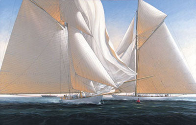 1010396 THE JIBE S/N