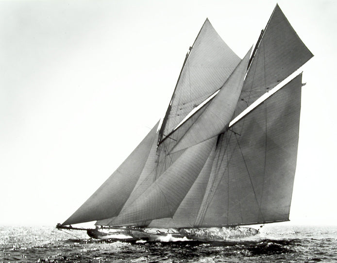 WINDWARD START, 1899 <br />An innovative alliance of sail and hull design crowns the magnificent forty meter yachts Shamrock I and Columbia. Photographer, James Burton