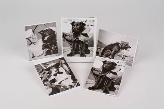 NOTECARDS SEA DOGS