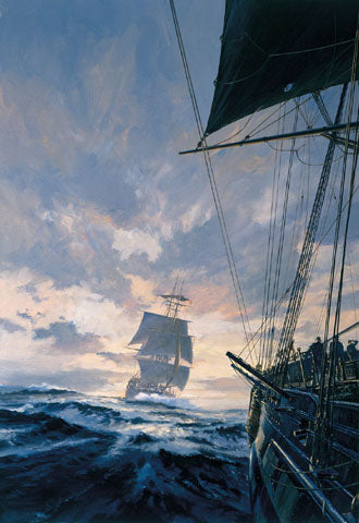 1033177 Desolation Island