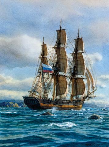 1039781 Escorted by Majestic Whale G/C