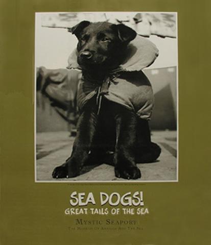 Sea Dog Poster