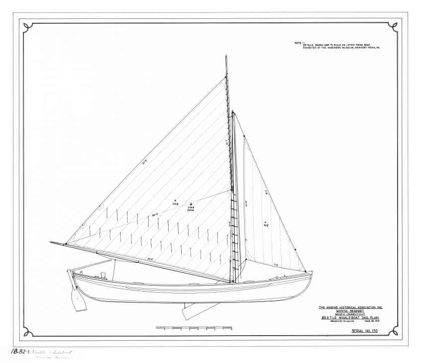Beetle Whaleboat