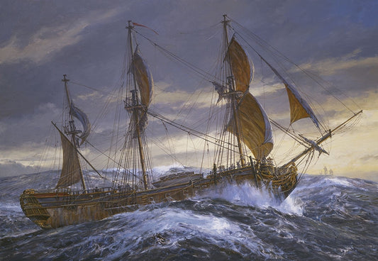 The Unknown Shore G/P Re LARGE -  SKU 1043931