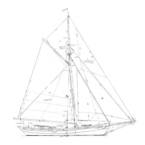 46' 5" Cutter
