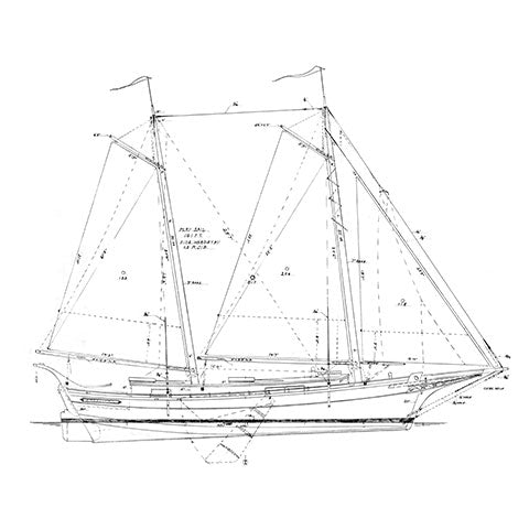 36' Sharpie OLD GLORY