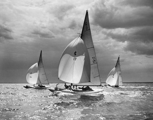International Spinnakers, 1949