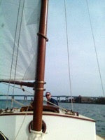 Economy Jane