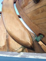 Clione