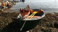 Cabin Boy