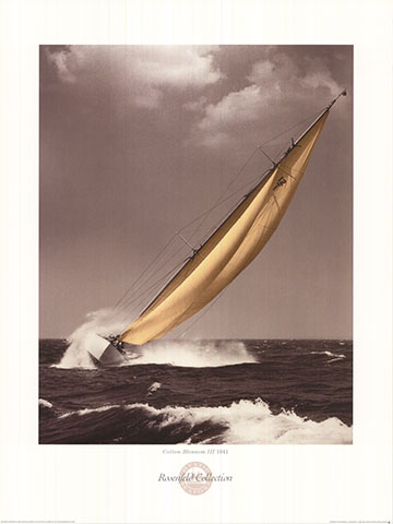 COTTON BLOSSOM III, 1941