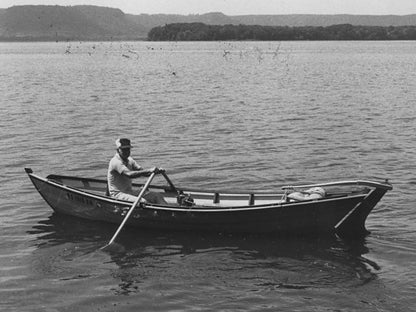 Abie Porpoise