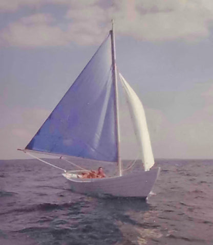 Abie Porpoise