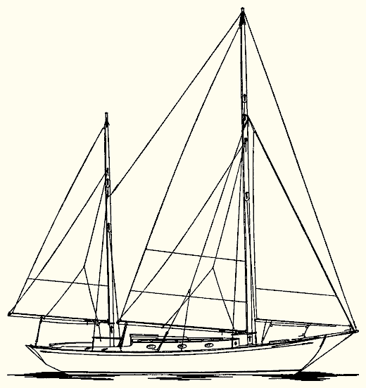 Barrie Anne
