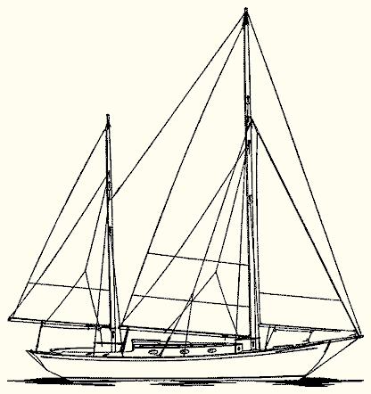 Barrie Anne