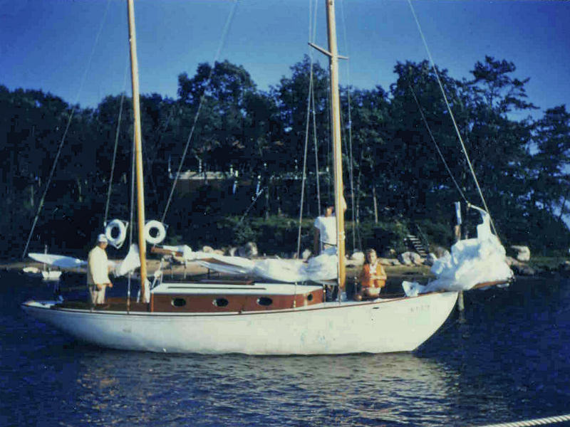 Barrie Anne