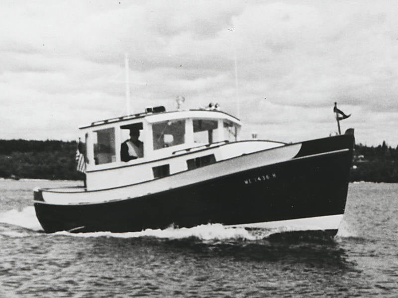 Calisto V. Canelli