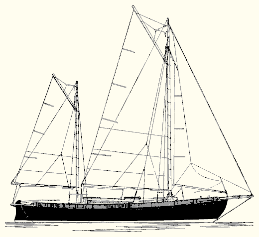 Clione