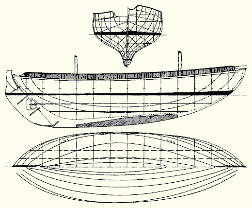 Clione