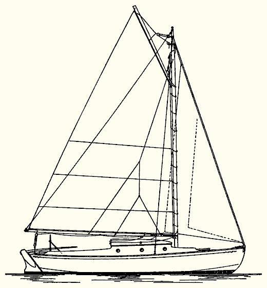 Dolly Varden