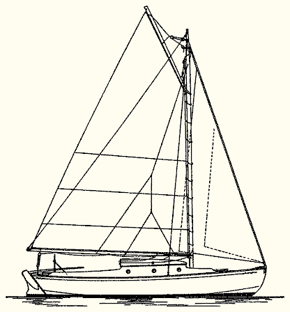 Dolly Varden