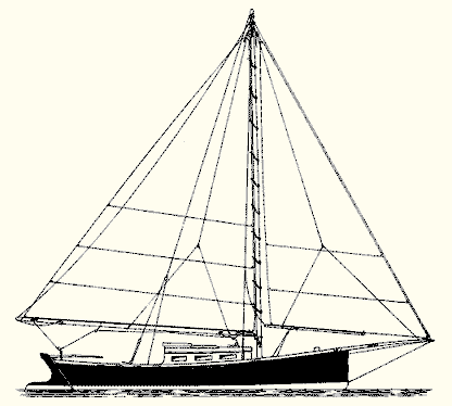 Shore Liner