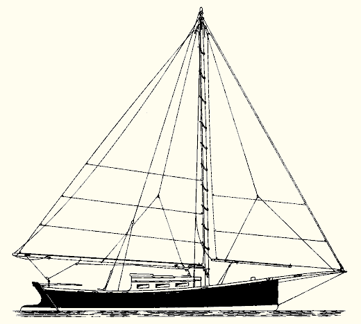 Shore Liner