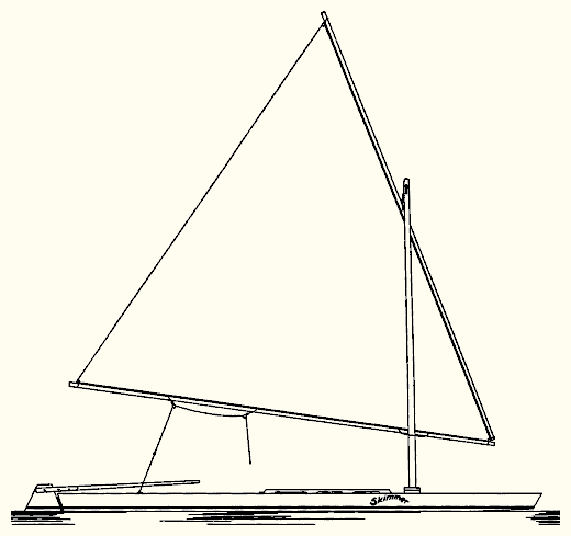 Skimmer