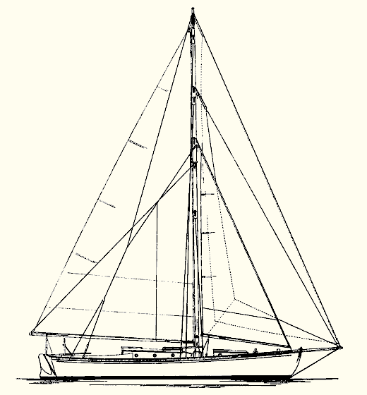 Tally Ho Major