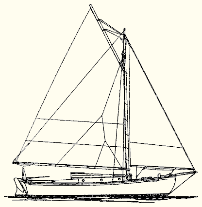 Tern