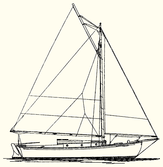 Tern