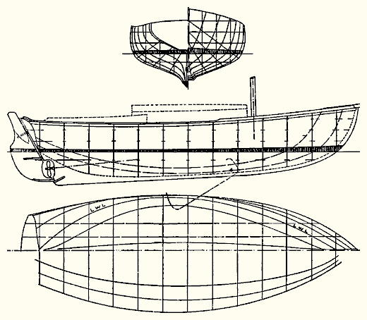 Tern
