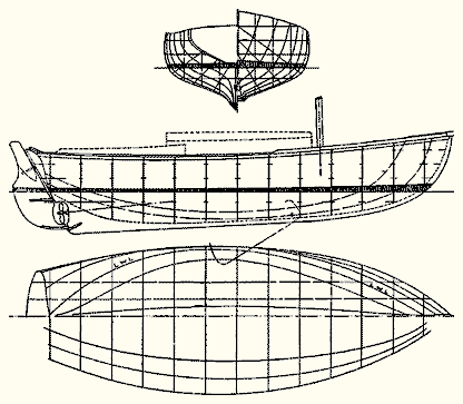 Tern