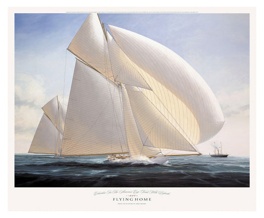 Flying Home Regular Giclee on Canvas