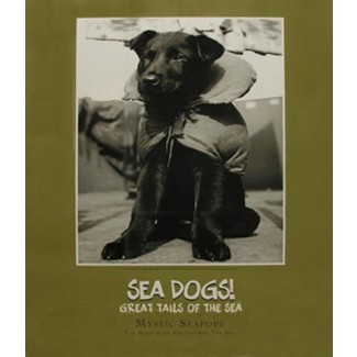 Sea Dog Poster