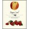 Fruit Recipe Cards